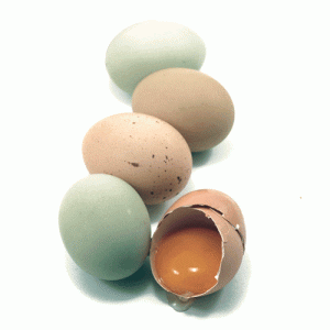 HUEVOS DE CAMPO 12 UNIDADES