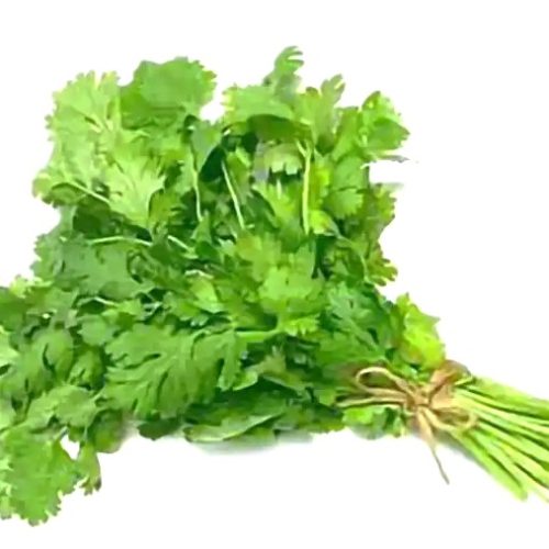 CILANTRO 1 PQTE